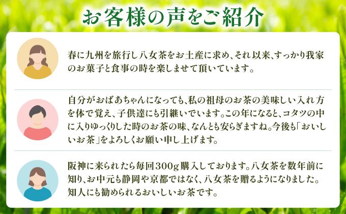 産地直送！八女茶 中島製茶本舗 煎茶 ティーバッグ 100パック