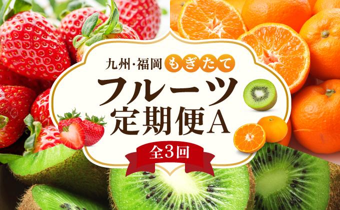 ＜定期便・全3回＞九州・福岡もぎたて フルーツ定期便 A
