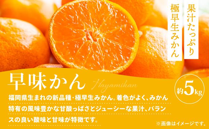 ＜定期便・全3回＞九州・福岡もぎたて フルーツ定期便 A