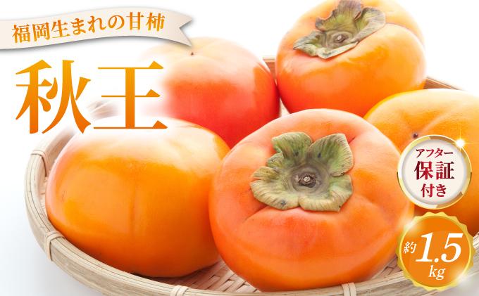 福岡より直送！種がほとんどない新ブランド 柿 秋王 約1.5kg 化粧箱入（2026年10月以降発送）