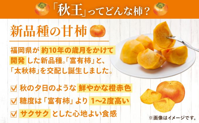 遖丞イ。繧医j逶エ騾シ∫ィョ縺後⊇縺ィ繧薙←縺ェ縺譁ー繝悶Λ繝ウ繝 譟ソ 遘狗視 邏1.5kg 蛹也イァ邂ア蜈・シ2026蟷エ10譛井サ・髯咲匱騾シ