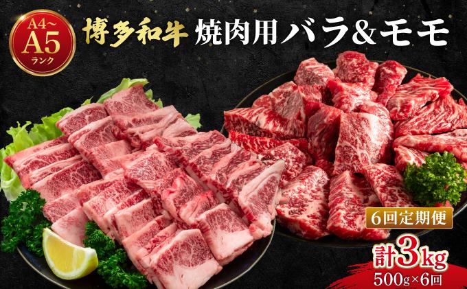 ＜定期便・全6回＞博多和牛 牛肉 焼肉 バラ モモ 500g【肉のくまもと屋】