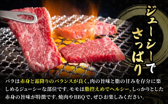 ＜定期便・全6回＞博多和牛 牛肉 焼肉 バラ モモ 500g【肉のくまもと屋】