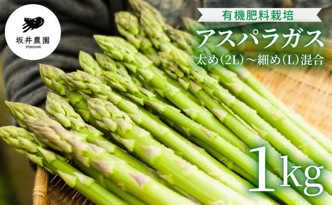 アスパラガス 1kg （6月下旬より発送）| 2L L 春芽 新鮮 産地直送 アスパラ グリル サラダ 送料無料 福岡県 那珂川市