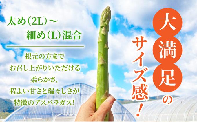 アスパラガス 1kg （6月下旬より発送）| 2L L 春芽 新鮮 産地直送 アスパラ グリル サラダ 送料無料 福岡県 那珂川市