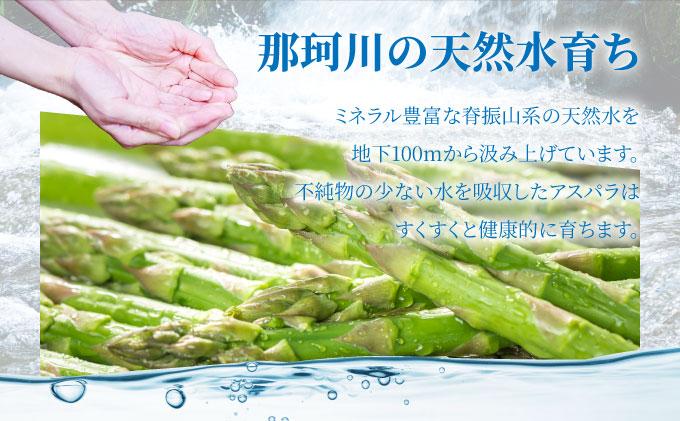 アスパラガス 1kg （6月下旬より発送）| 2L L 春芽 新鮮 産地直送 アスパラ グリル サラダ 送料無料 福岡県 那珂川市