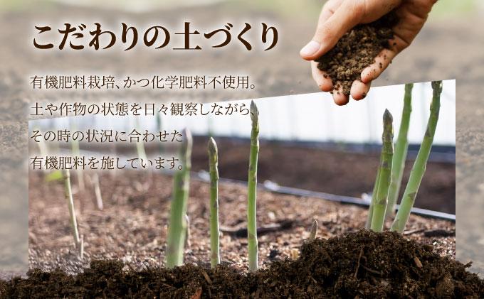アスパラガス 1kg （6月下旬より発送）| 2L L 春芽 新鮮 産地直送 アスパラ グリル サラダ 送料無料 福岡県 那珂川市