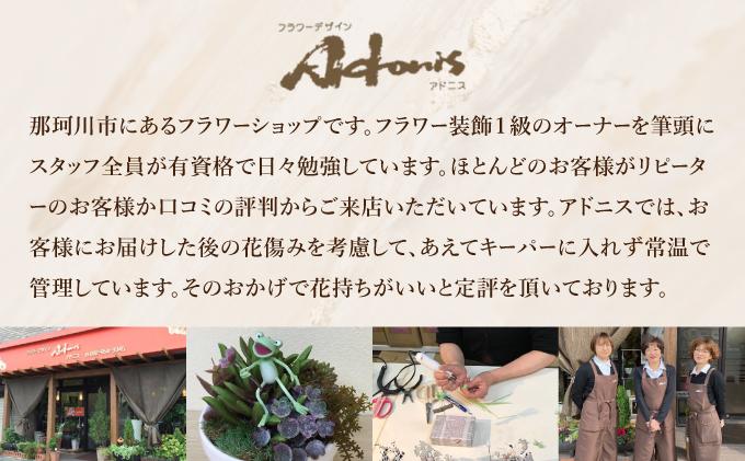 譽ョ縺ョ荳ュ縺ョ繧ア繝ュ繝九せ縺ィ蟆城ウ・縲舌ヵ繝ゥ繝ッ繝シ繝繧カ繧、繝ウ 繧「繝峨ル繧ケ縲