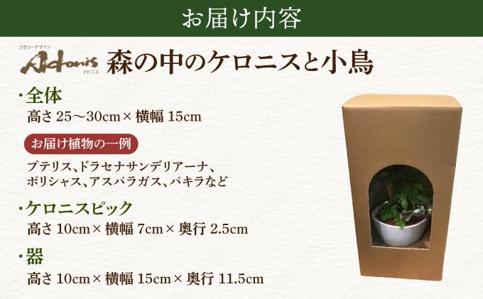 譽ョ縺ョ荳ュ縺ョ繧ア繝ュ繝九せ縺ィ蟆城ウ・縲舌ヵ繝ゥ繝ッ繝シ繝繧カ繧、繝ウ 繧「繝峨ル繧ケ縲