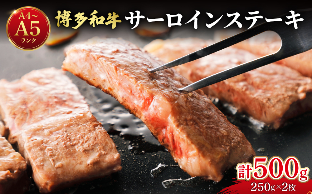 博多和牛 牛肉 サーロイン ステーキ 500g（250g×2）