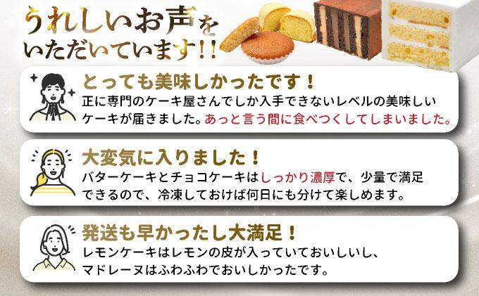 ＜定期便・全12回＞焼き菓子 4種セット 計9点【VISAVIS】