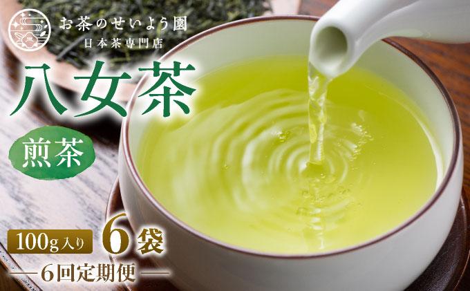 ＜定期便・全6回＞豊かな香りとまろやかな旨味 八女茶(煎茶) 600gセット（100g×6袋）|国産 緑茶 玉露 日本茶 お茶 茶葉 高級茶 家庭用 送料無料 那珂川市 福岡県