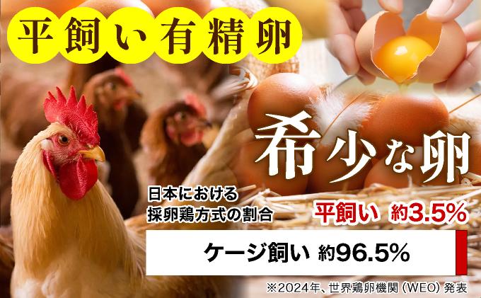 ＜定期便・全3回＞鮮度AA級の世界最高ランク！金太郎卵 平飼い たまご 30個（6個×5パック）