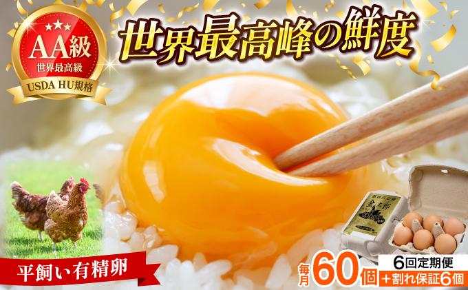 ＜定期便・全6回＞鮮度AA級の世界最高ランク！金太郎卵 平飼い たまご 60個（6個×10パック）