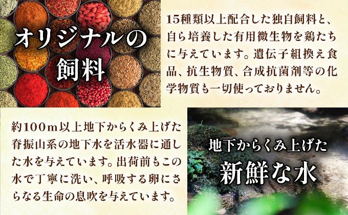 ＜定期便・全3回＞鮮度AA級の世界最高ランク！金太郎卵 平飼い たまご 60個（6個×10パック）