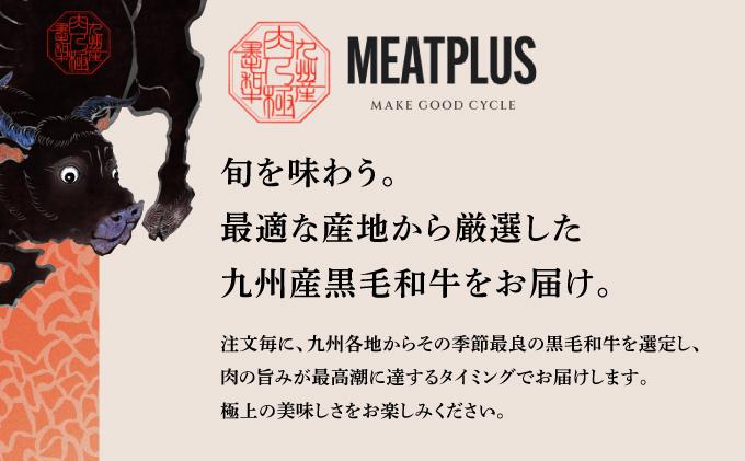 厳選希少部位 A4ランク以上 博多和牛ミスジステーキ 約500ｇ（100ｇ×5ｐ）
