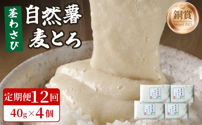 ＜定期便・全12回＞自然薯茎わさびとろろ 40g×4個