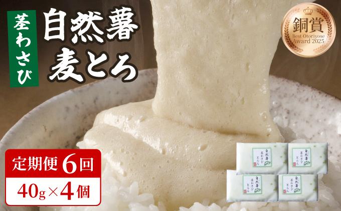 ＜定期便・全6回＞自然薯茎わさびとろろ 40g×4個