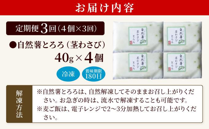 ＜定期便・全3回＞自然薯茎わさびとろろ 40g×4個