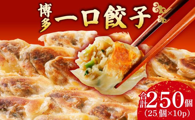 冷凍 博多一口餃子 25個入り×10パック