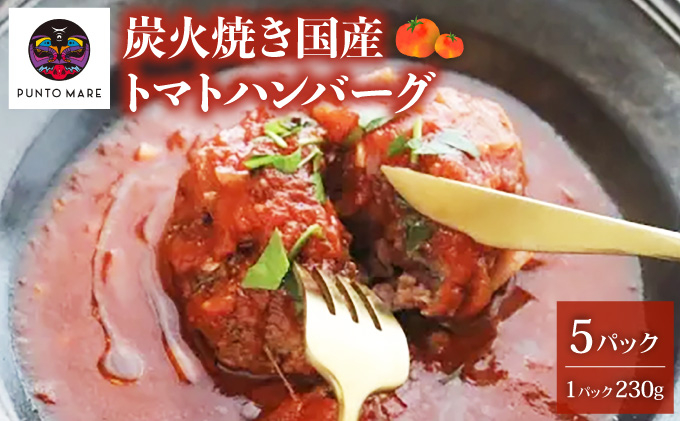 寄附額改定↓ 炭焼き国産ハンバーグ(トマトソース)230g×5個