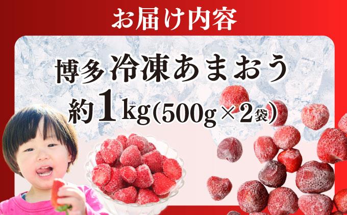 福岡県産 博多冷凍あまおう 約500g×2袋 合計約1kg