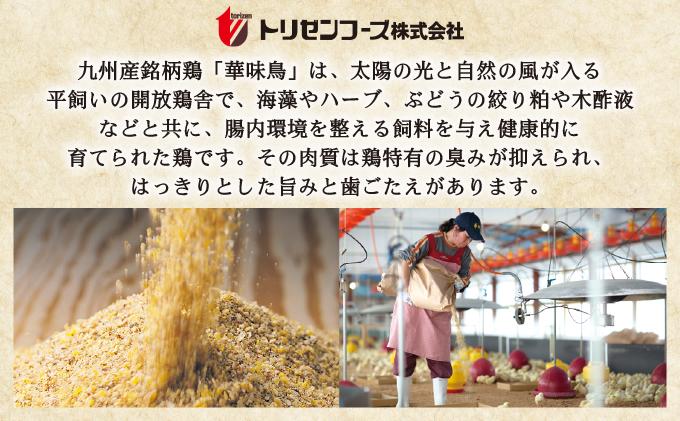 水炊き セット 6～8人前（柚胡椒付）【博多華味鳥】| 水炊き 博多 ブランド鶏 地鶏 鶏鍋 つくね ぶつ切 鍋セットスープ付 ポン酢 ぽん酢 冷凍 時短 お取り寄せ 送料無料 福岡県 那珂川市 