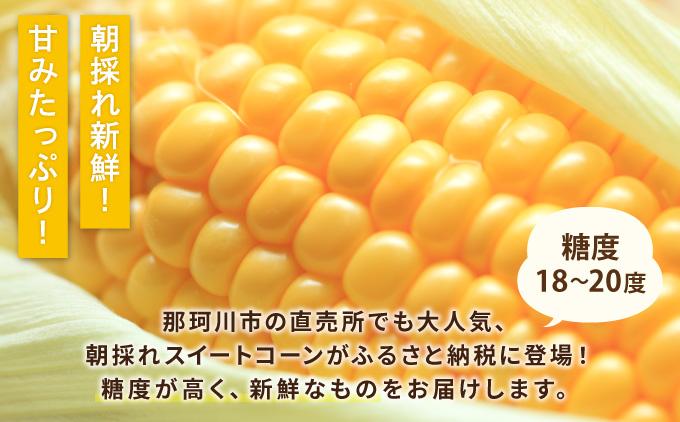 【先行予約】朝採れ スイートコーン 約5kg（10～12本入り）2026年5月末より発送