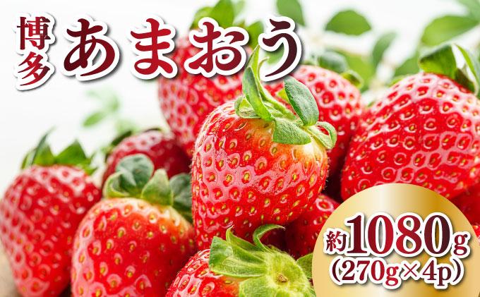 【先行予約】農家直送 朝採り新鮮いちご 博多あまおう 約1080g（約270g×4パック）（2026年2月上旬より発送）