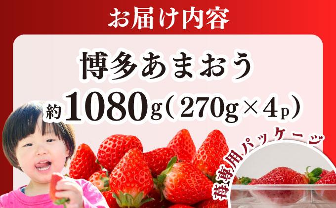 【先行予約】農家直送 朝採り新鮮いちご 博多あまおう 約1080g（約270g×4パック）（2026年2月上旬より発送）