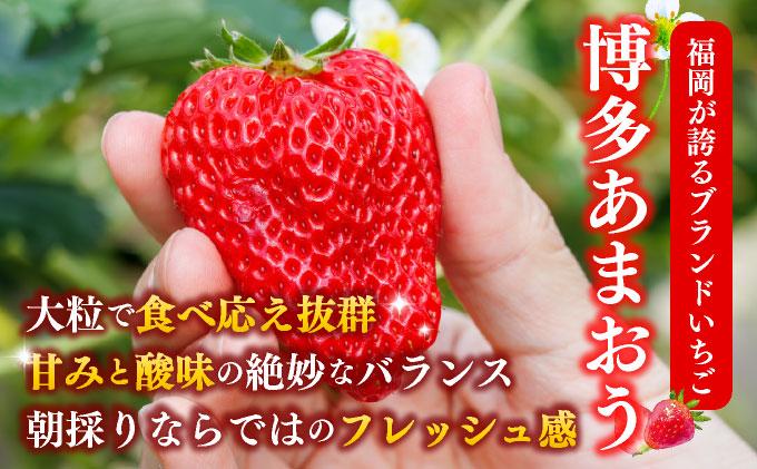 【先行予約】農家直送 朝採り新鮮いちご 博多あまおう 約1080g（約270g×4パック）（2026年2月上旬より発送）