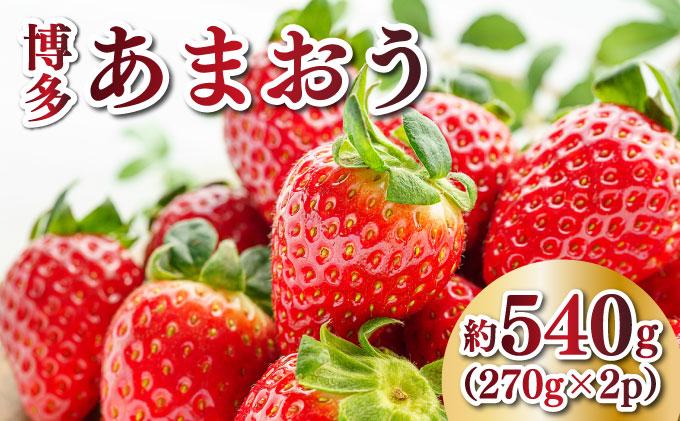 【先行予約】農家直送 朝採り新鮮いちご 博多あまおう 約540g（約270g×2パック）（2026年2月上旬より発送）