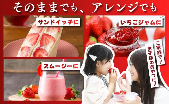 【先行予約】農家直送 朝採り新鮮いちご 博多あまおう 約540g（約270g×2パック）（2026年2月上旬より発送）