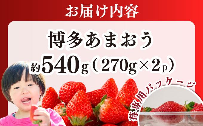 【先行予約】農家直送 朝採り新鮮いちご 博多あまおう 約540g（約270g×2パック）（2026年2月上旬より発送）