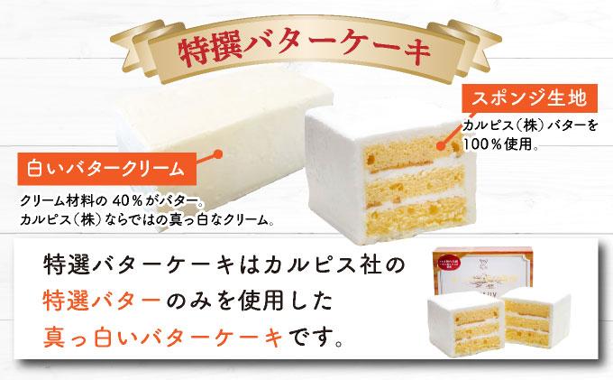 特選バターケーキ 人気の3種セット【VISAVIS】