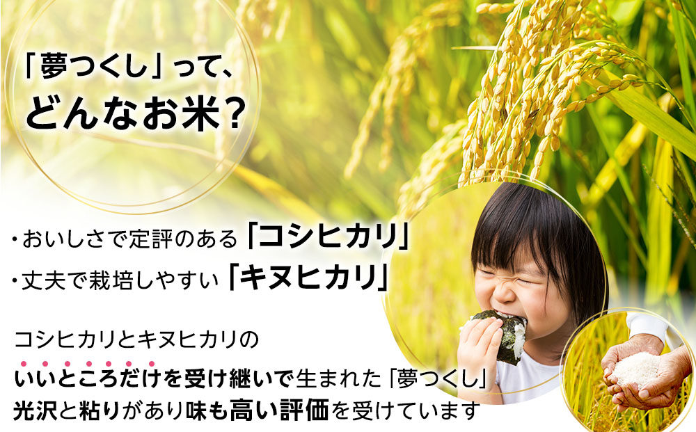 夢つくし パックご飯 計24パック (各200g)