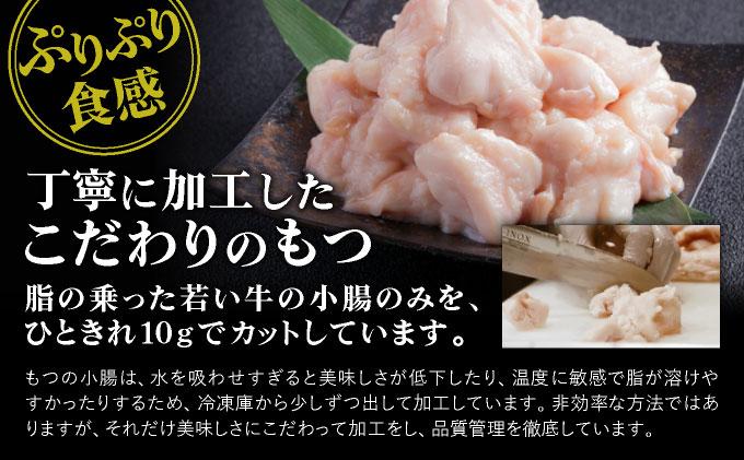 年間100万食販売！博多もつ鍋おおやま もつ鍋みそ味・しょうゆ味食べ比べセット各3人前