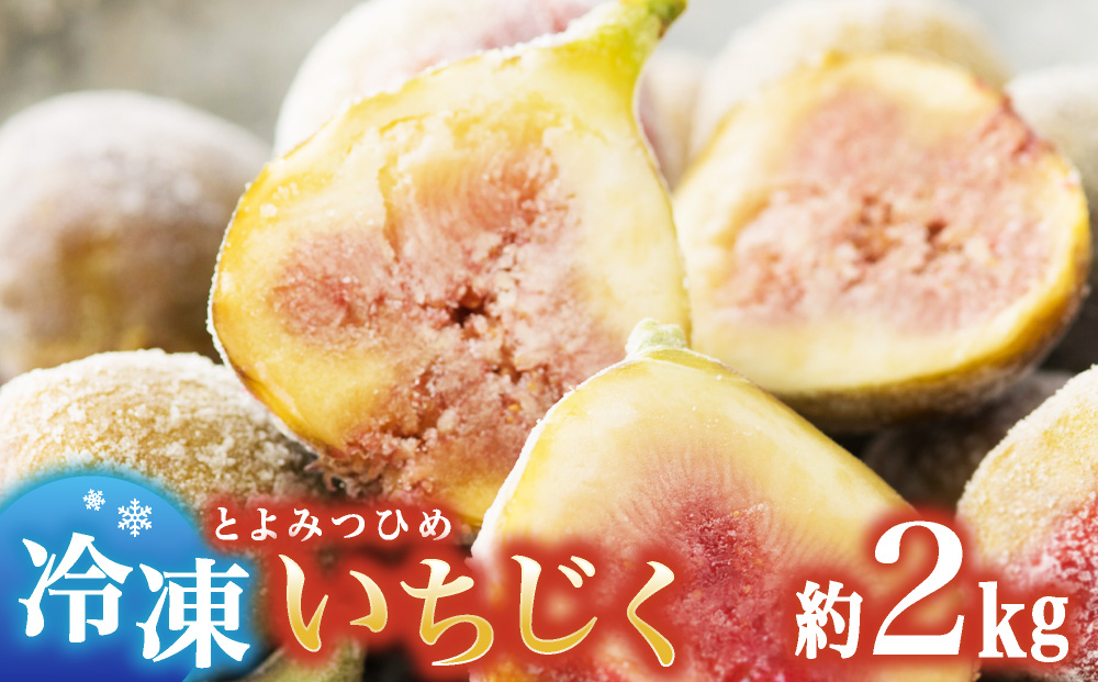 冷凍いちじく（とよみつひめ）約2kg