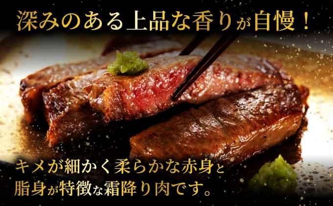 ＜定期便・全12回＞博多和牛 サーロインブロック 約500g