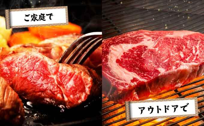 ＜定期便・全5回＞博多和牛 サーロインブロック 約500g