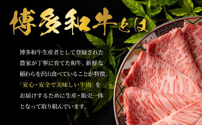 ＜定期便・全3回＞博多和牛 サーロインブロック 約500g