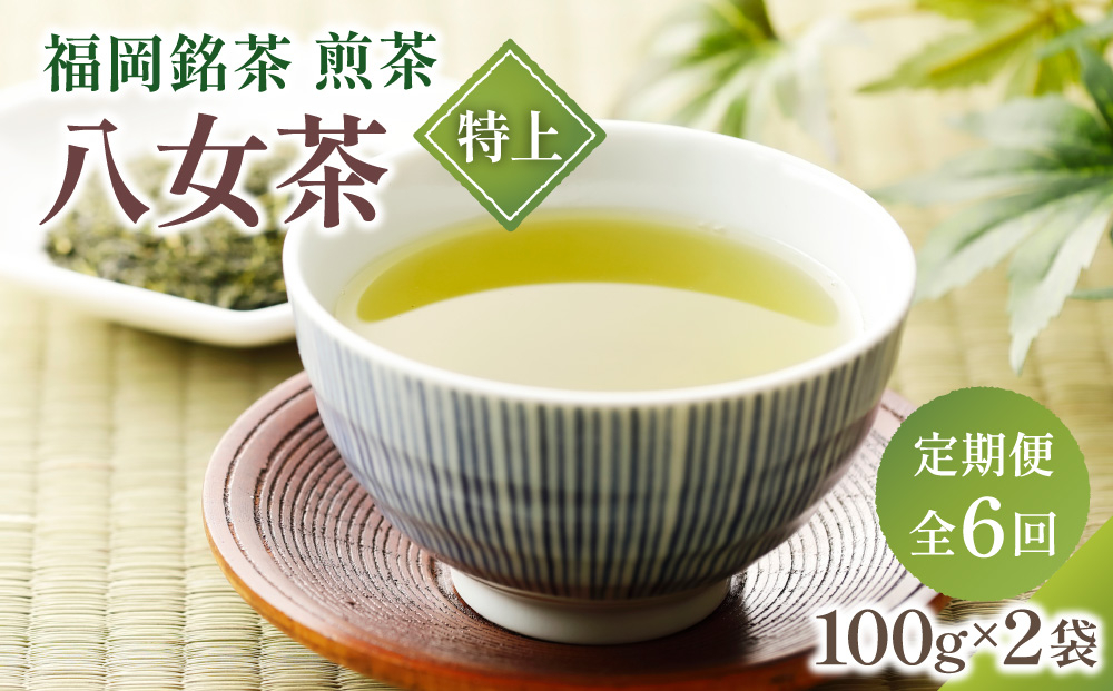 ＜定期便・全6回＞八女茶【特上】煎茶セット 100g×2袋