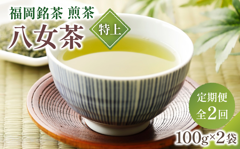 ＜定期便・全2回＞八女茶【特上】煎茶セット 100g×2袋