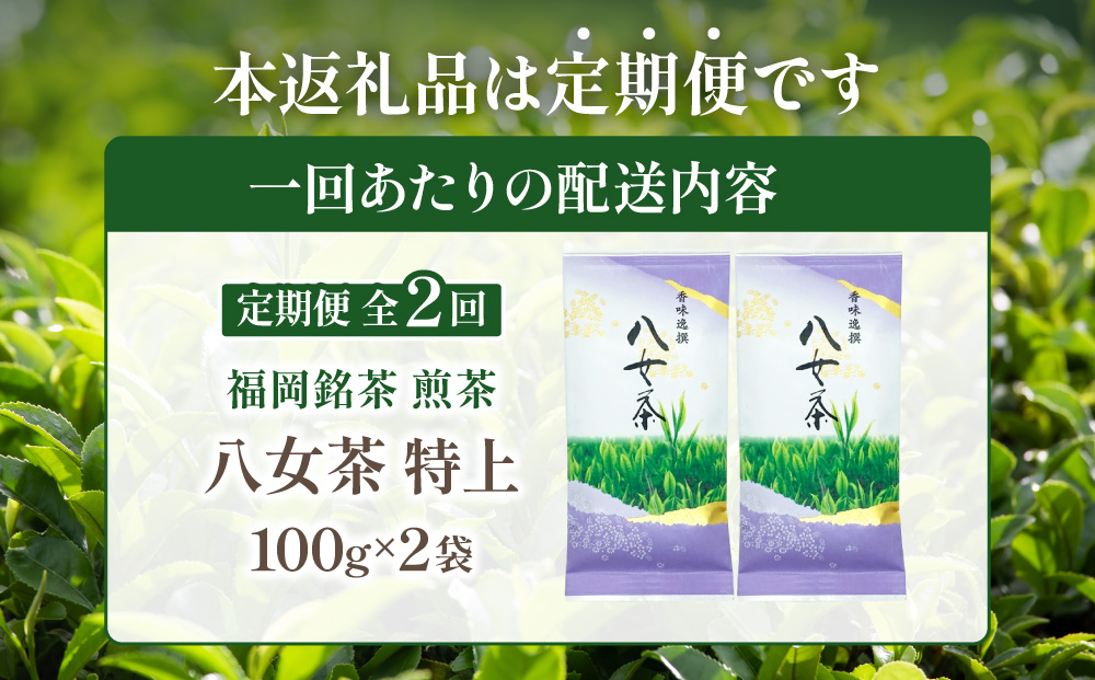 寄附額改定↓ ＜定期便・全2回＞八女茶【特上】煎茶セット 100g×2袋