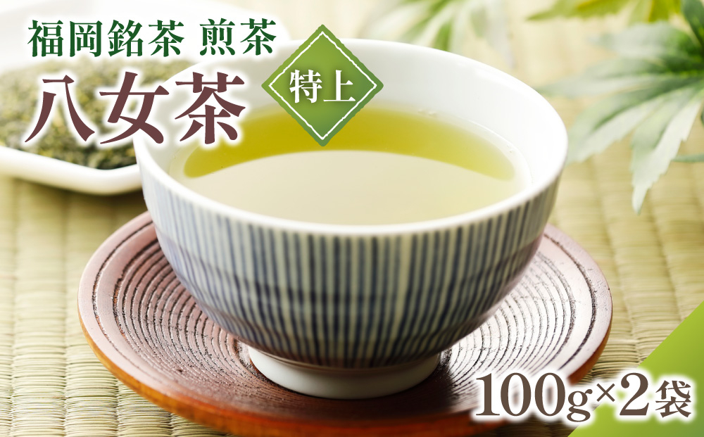 八女茶【特上】煎茶セット 100g×2袋
