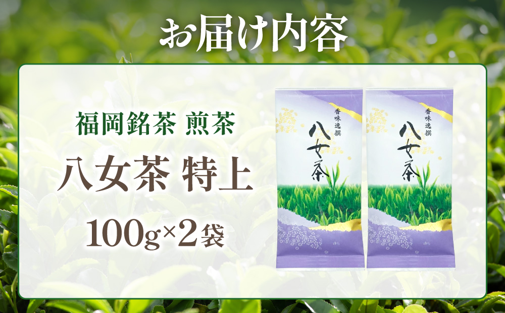 寄附額改定↓ 八女茶【特上】煎茶セット 100g×2袋