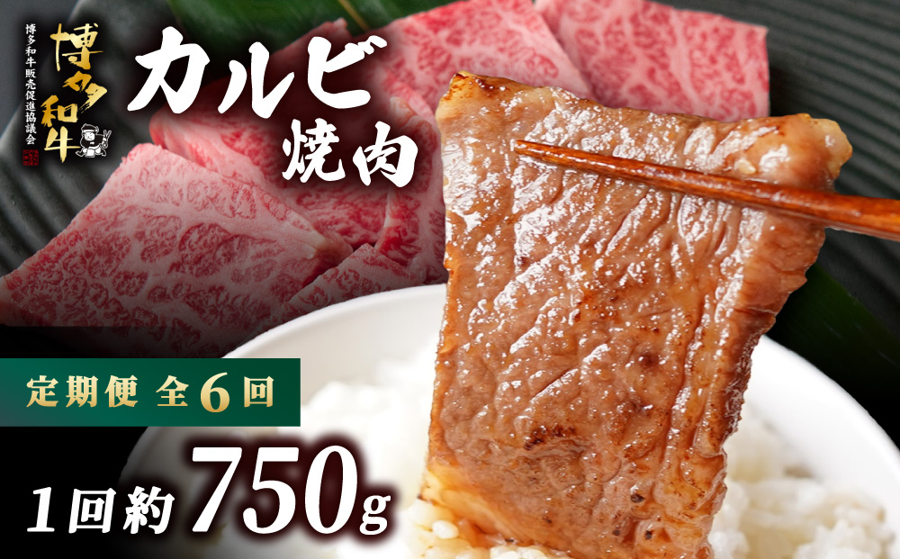 ≪定期便・全6回≫博多和牛 カルビ焼肉（バラ）