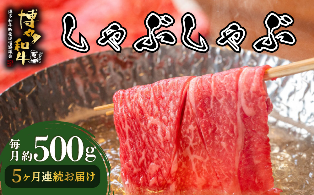 ＜定期便・全5回＞博多和牛 しゃぶしゃぶ 約500g