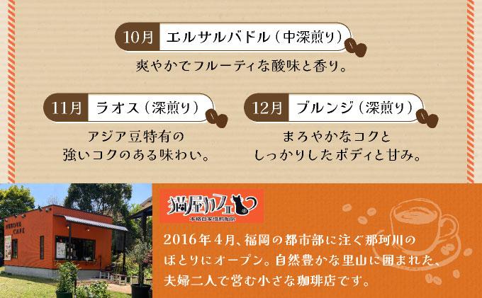 ＜定期便・全12回＞世界を夢見るコーヒー【粉】500g