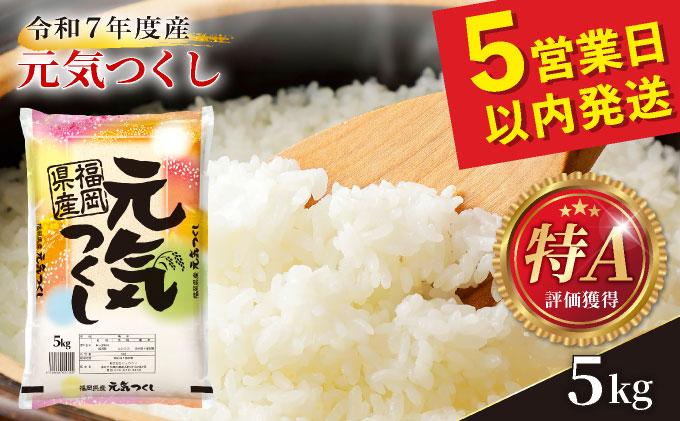 福岡県産元気つくし 白米5kg|福岡県産 元気つくし 白米 5kg 精米 米 国産 九州産 お米 ご飯 ふるさと納税 福岡県 那珂川市